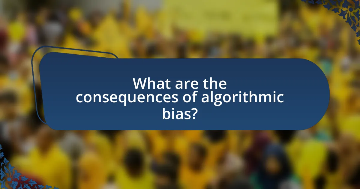 What are the consequences of algorithmic bias?